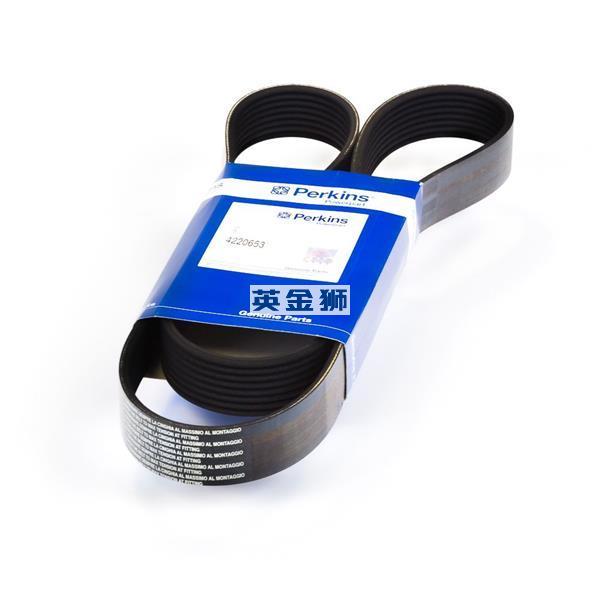 4220653 (BELT)