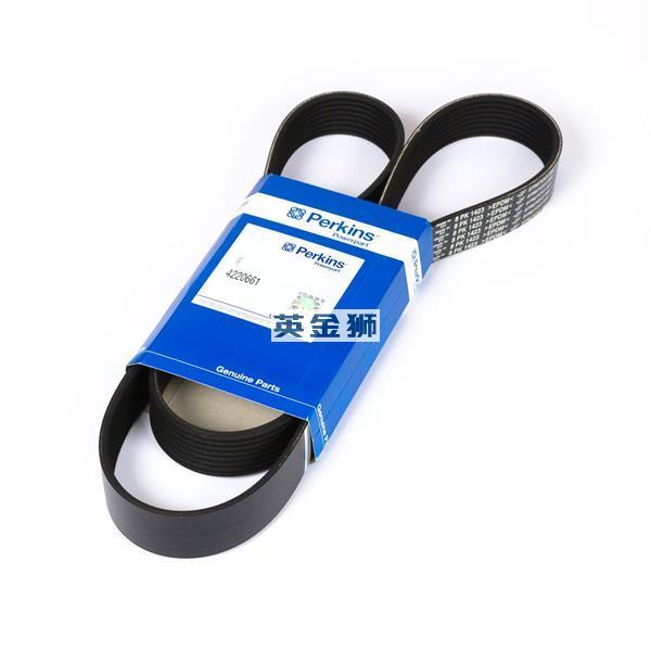 4220661 (BELT)