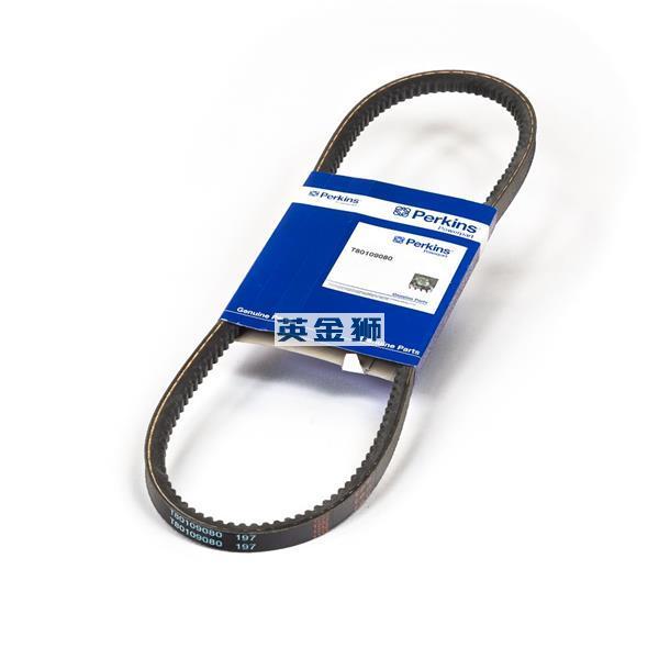 T80109080 (BELT)
