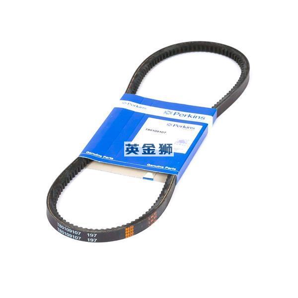 T80109107 (BELT)