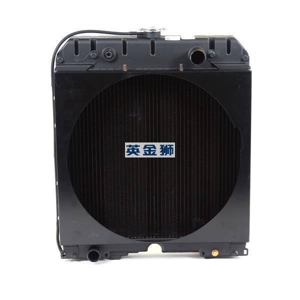 2485B259 (RADIATOR)