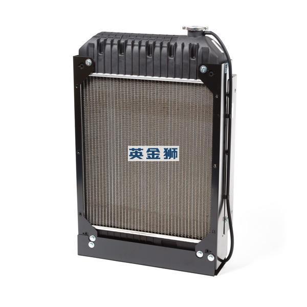 2485B276 (RADIATOR)