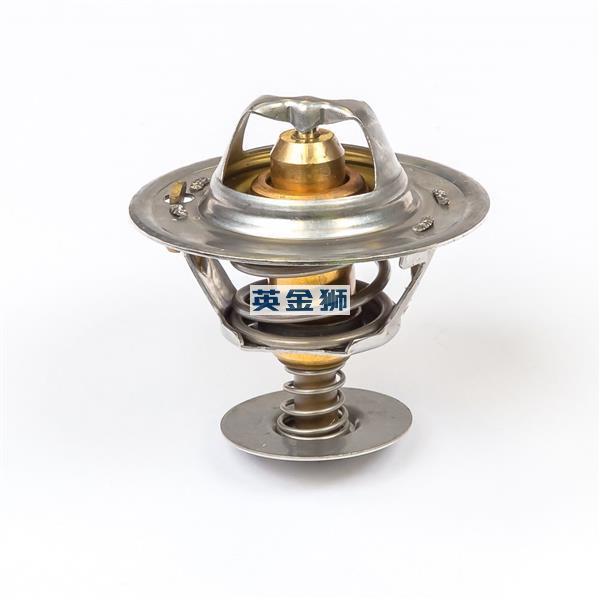 2485C047 (THERMOSTAT)