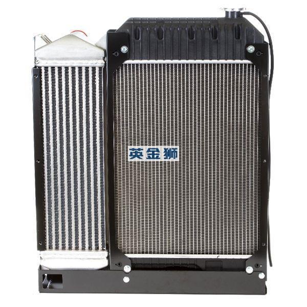 2486F102 (RADIATOR)
