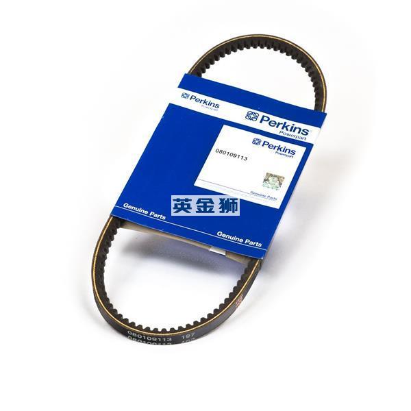 080109113 (V BELT)