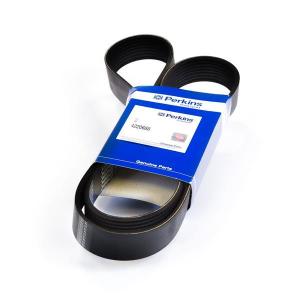 4220668 (BELT)