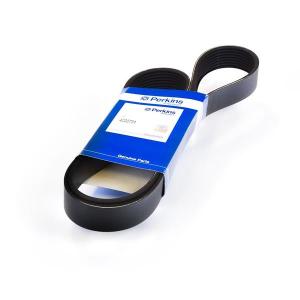 4220751 (BELT)