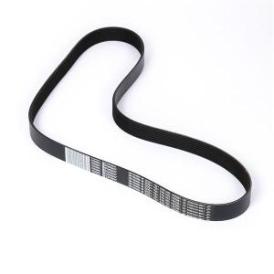 4220661 (BELT)