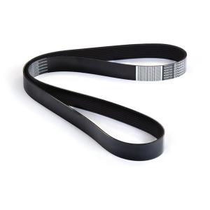 4220751 (BELT)