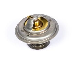 2485C036 (THERMOSTAT)