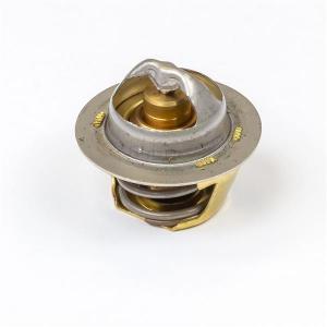 145206210 (THERMOSTAT)
