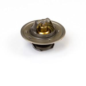 2485608 (THERMOSTAT)