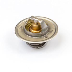 2485659 (THERMOSTAT)