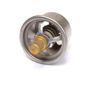 T401047 (THERMOSTAT)