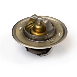 2485658 (THERMOSTAT)
