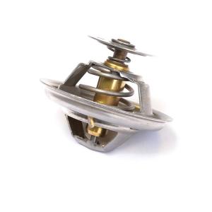 2485C037 (THERMOSTAT)