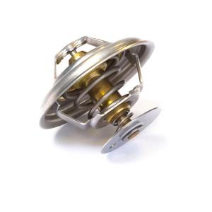 2485C037 (THERMOSTAT)