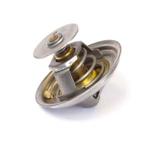 2485C037 (THERMOSTAT)