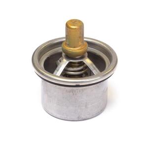 T401047 (THERMOSTAT)
