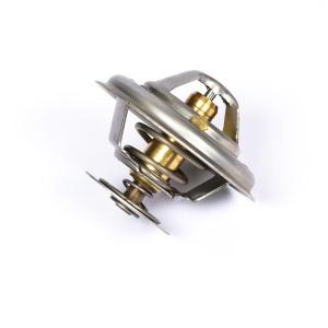2485C036 (THERMOSTAT)
