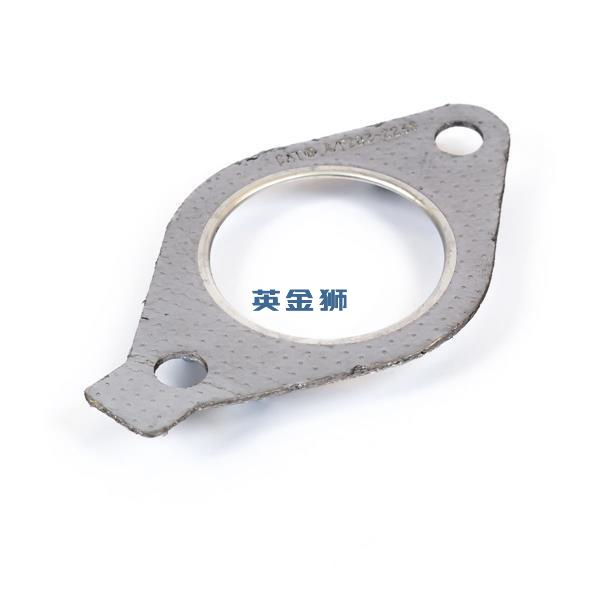 CH12157 (GASKET)