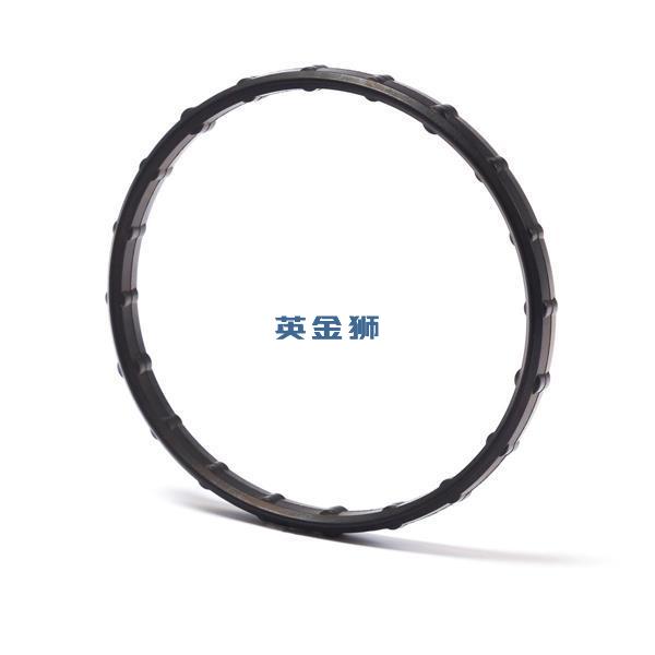 CH12530 (O RING)