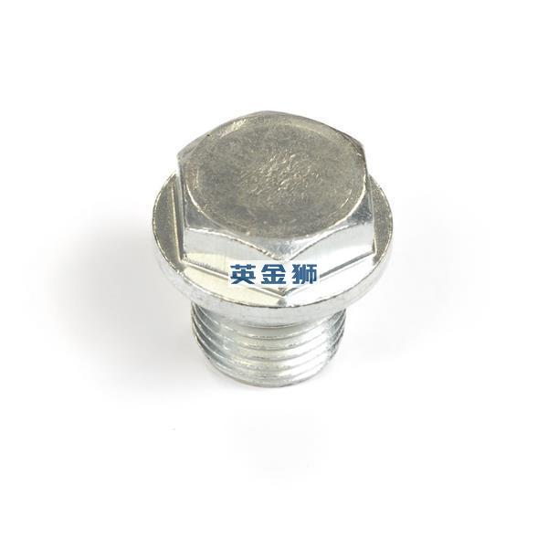 T10109238 (DRAIN PLUG)
