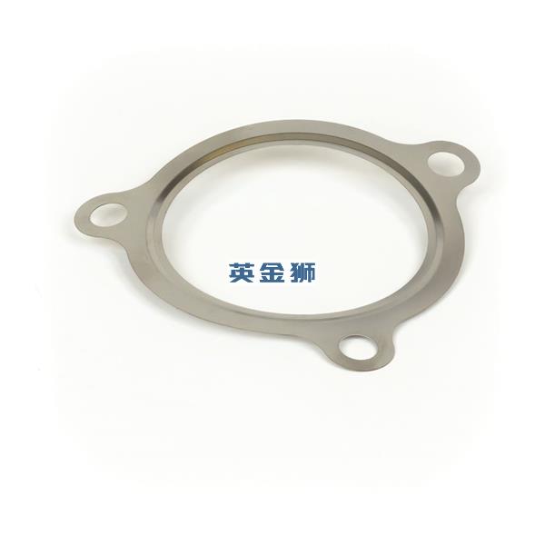 T407256 (GASKET)
