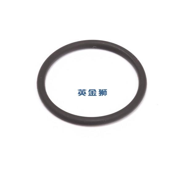 T421774 (O RING)