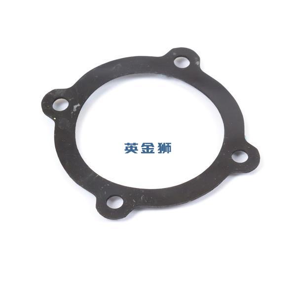 U10998331 (GASKET)