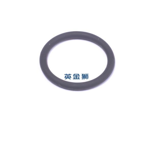 2415H004 (O RING)