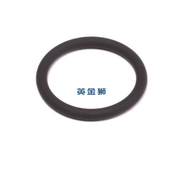 2415H005 (O RING)