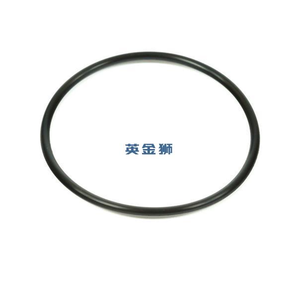 2415H219 (O-SEAL)