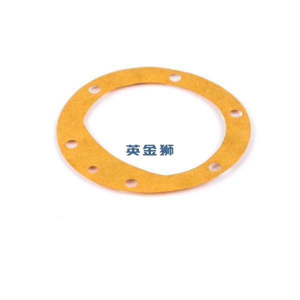 24880120 (GASKET)