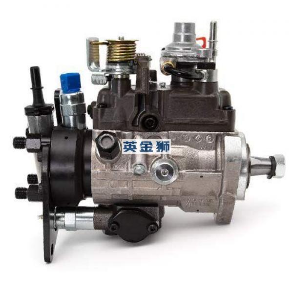 2644H013/22 (INJECTION PUMP)