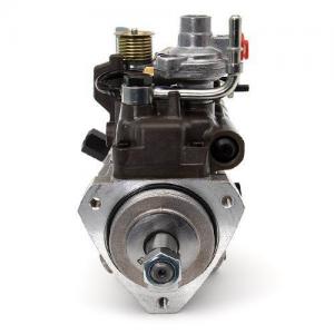 2644H013/22 (INJECTION PUMP)