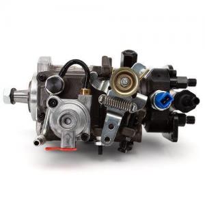 2644H013/22 (INJECTION PUMP)