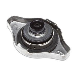 310110200 (RADIATOR CAP)
