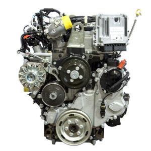 发动机总成JR83130 (INDUSTRIAL APPLICATION)