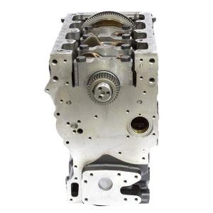 T418907 (SHORT ENGINE)