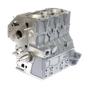 110006380 (SHORT ENGINE)