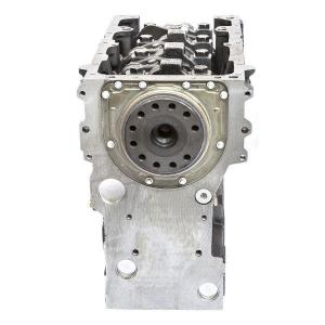 AL39796 (SHORT ENGINE)